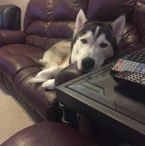 Meet your Posher, Tammy